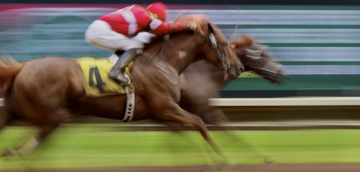 Carreras de caballos