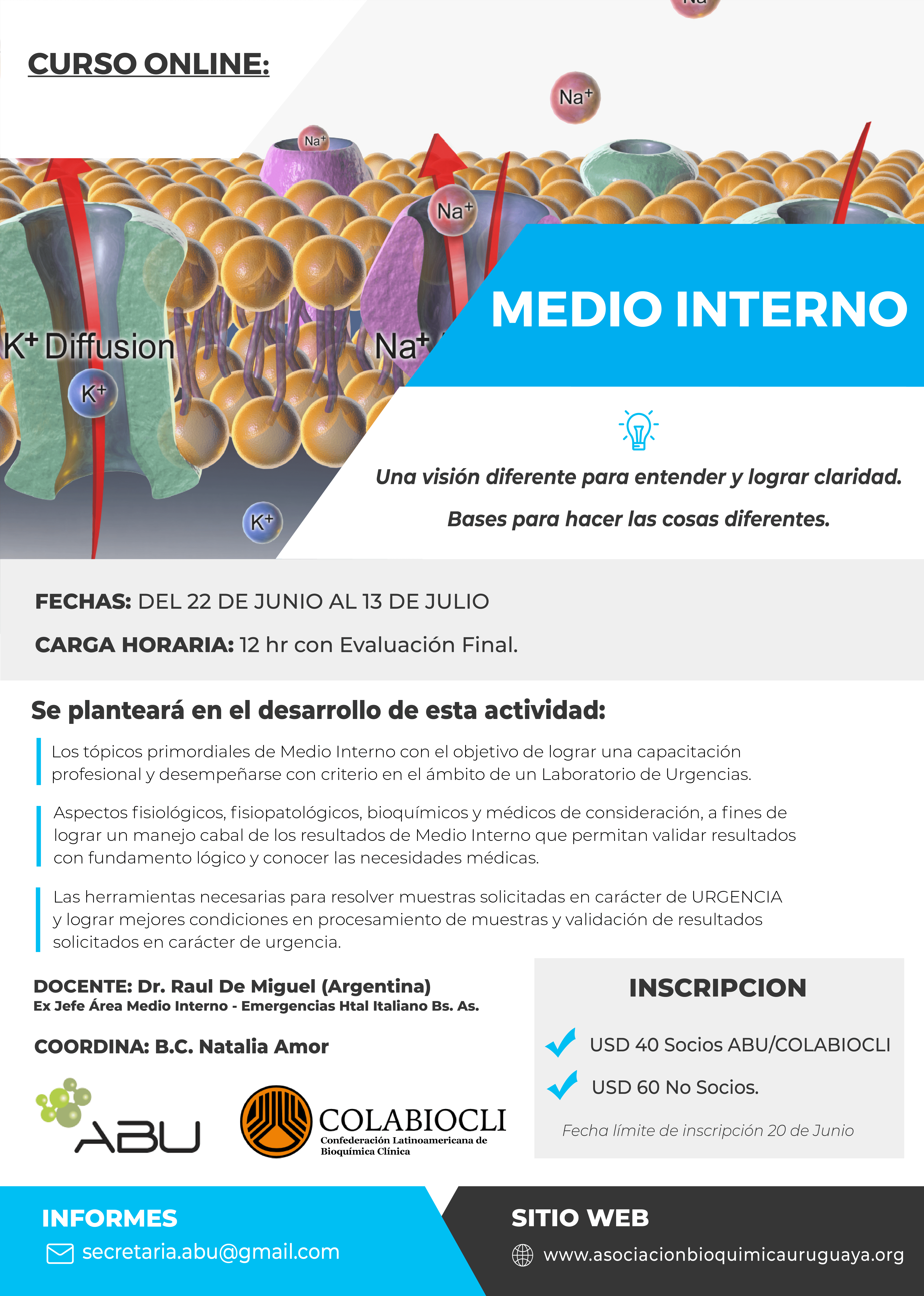 Curso Medio Interno