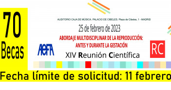 SOLICITUD DE LA BECA PARA LA INSCRIPCIÓN A LA XIV REUNIÓN CIENTÍFICA DE AEFA 2023 becas-WEB-RC-AEFA-2023