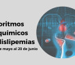 Gemma-WordPress - 2