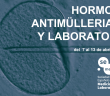IMAGEN-AMH-ORIGINAL